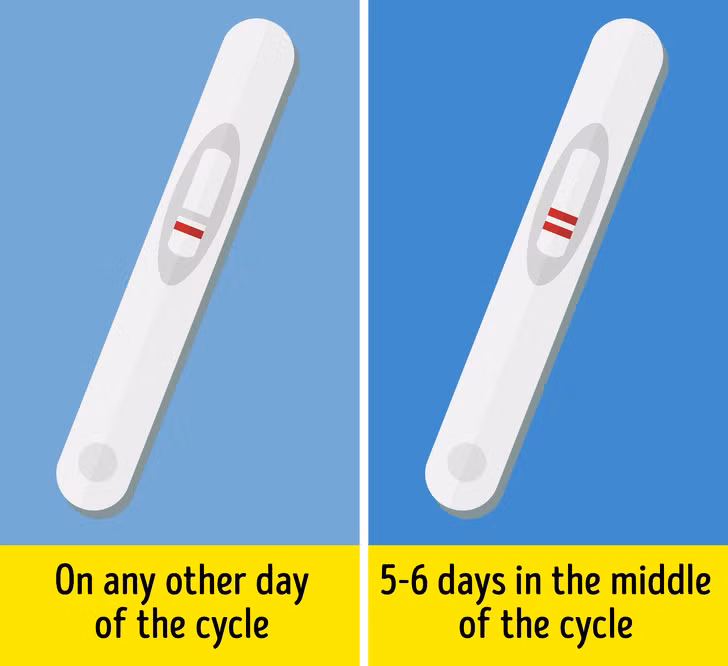 Mỗi tháng chỉ có 6 ngày để một người phụ nữ thụ thai. Hầu hết phụ nữ có khoảng 6 ngày “màu mỡ” nhất để thụ thai trong một tháng. Khoảng thời gian này bao gồm 5 ngày trước khi trứng rụng và ngày trứng rụng.