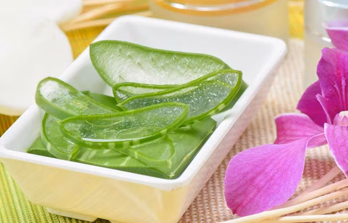 Hãy đắp gel lô hội lên vùng da khô trong 10-12 phút và sau đó rửa sạch bằng nước ấm.