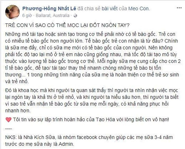 Quan điểm trẻ em có thể mọc lại đốt tay của Lê Nhất Phương Hồng gây tranh cãi.