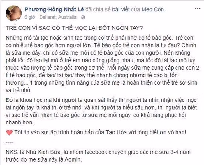 Quan điểm trẻ em có thể mọc lại đốt tay của Lê Nhất Phương Hồng gây tranh cãi.