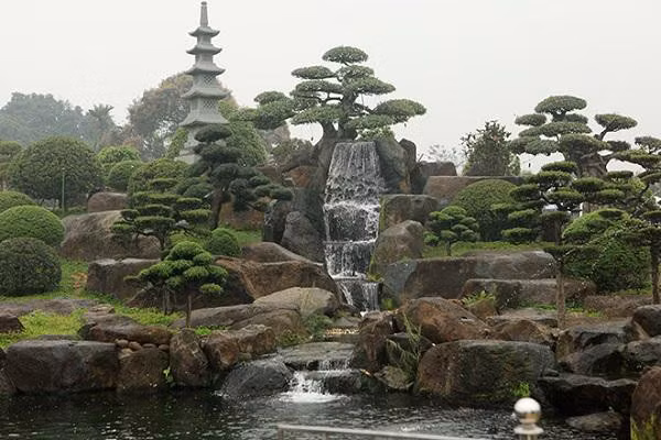 Ngat ngay ngam ho ca Koi Nhat Ban gan 10 ty tai Viet Nam-Hinh-9