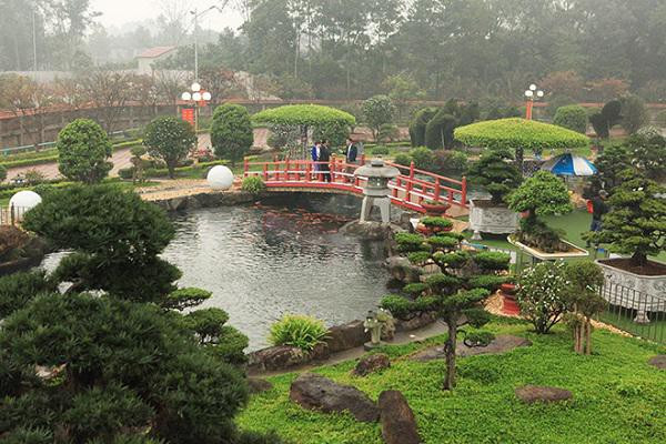 Ngat ngay ngam ho ca Koi Nhat Ban gan 10 ty tai Viet Nam-Hinh-2