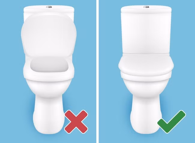 Việc xả nước không đúng cách khi đi vệ sinh cũng gây tổn hại tới nhan sắc của bạn. Chúng ta nên đậy nấp bồn cầu mỗi khi xả nước để tránh vi khuẩn và các vi sinh vật gây bệnh phun vào không khí và có thể bám vào tóc, quần áo và da. Ảnh: BS.