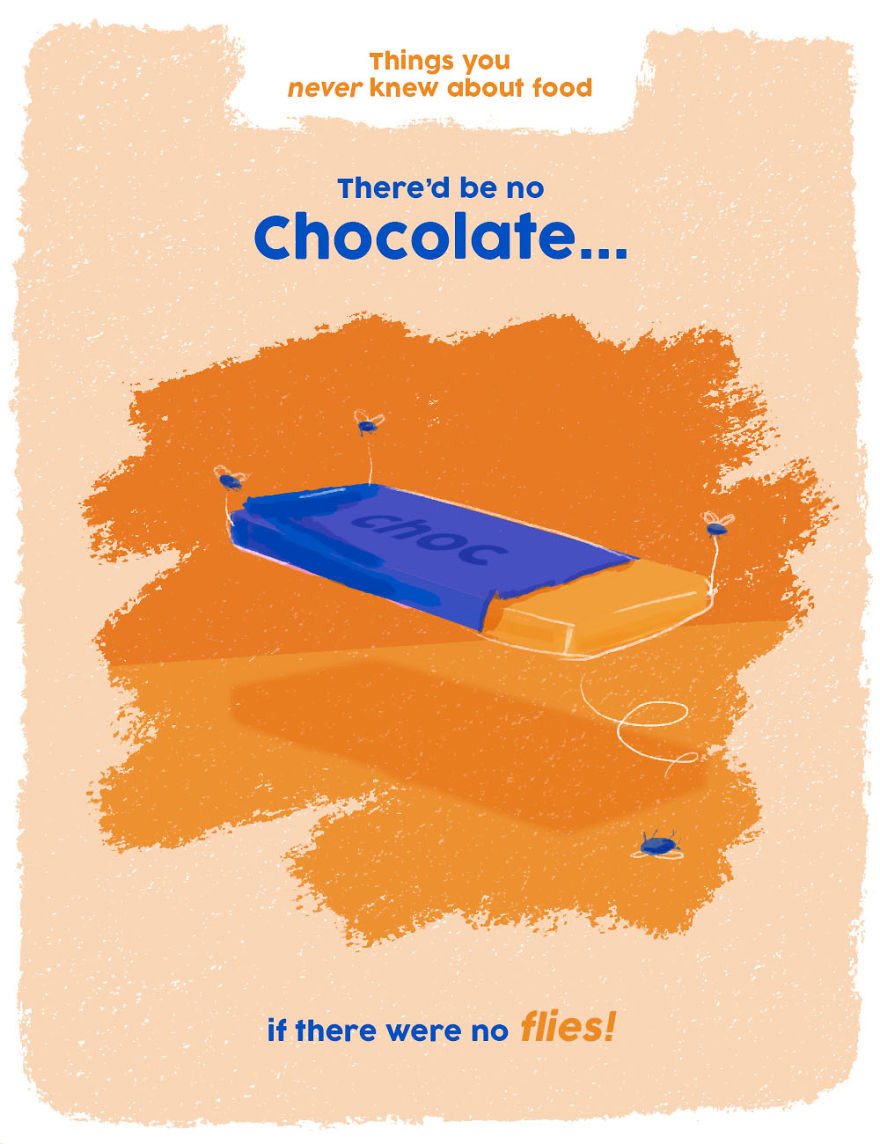 Không có con ruồi thì không thể có món socola ngon ngọt cho bạn. Điều này là bởi ruồi là sinh vật cần thiết giúp cây cacao thụ phấn. Ảnh: cda.eu.