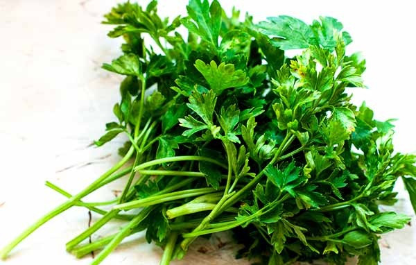 Rau mùi tây có tác dụng điều hòa nguyệt san. Để hoãn ngày đèn đỏ, chúng ta chỉ cần đun lá mùi tây với nước trong vòng 30 phút, sau đó lọc lấy nước uống 2-3 lần mỗi ngày trước khi chu kì kinh diễn ra 1 tuần.