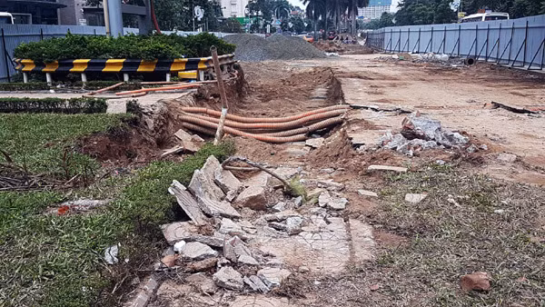 Đối với cây xanh tại dải phân cách giữa, ông Tuấn cho hay, UBND TP đã chỉ đạo, phần di chuyển cây xanh sẽ do công ty TNHH MTV công viên cây xanh Hà Nội thực hiện bằng nguồn vốn duy tu, duy trì cây xanh theo quy định. Công ty này sẽ tổ chức trồng mới cây xanh của nhà tài trợ