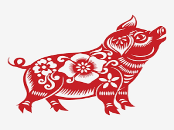 Tuổi Hợi: Có thể nói, vận may của người tuổi Hợi đang được dồn hết vào năm Canh Tý 2020, thậm chí họ còn có thể khiến người khác đỏ mắt ghen tị về những gì mình đạt được. Tháng phát tài 2020 của tuổi Hợi chính là các tháng 2, 6, 7, 10 âm lịch. Trong 4 tháng này, con giáp này sẽ đón nhận cơ may cực lớn về tài lộc, sự nghiệp và cả tình duyên của bản thân. Dù làm gì cũng sẽ thu về kế quả như mong đợi, mọi việc hanh thông.