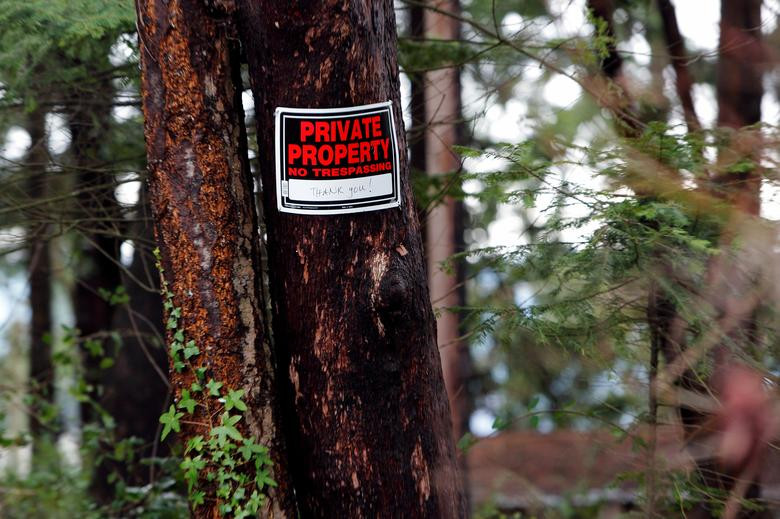 Ngày 13/1, Điện Buckingham cho biết Hoàng tử Harry, Hoàng tử William và Thái tử Charles đã được triệu tập đến Sandringham, nhà riêng của Nữ hoàng Elizabeth II, để thảo luận trực tiếp về quyết định rút khỏi Hoàng gia của vợ chồng Harry - Meghan.