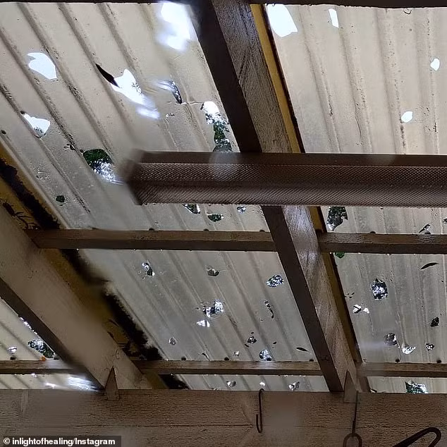 Mặc dù mưa đá giúp giảm nhiệt cháy rừng ở Australia nhưng nó cũng không đủ để dập tắt ngọn lửa. Ảnh: Trần nhà bị thủng lỗ chỗ sau trận mưa đá.