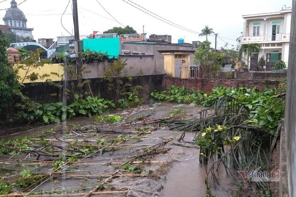Mua gio dung dung mung 1 Tet, cay do rap, khong ai ra duong-Hinh-2