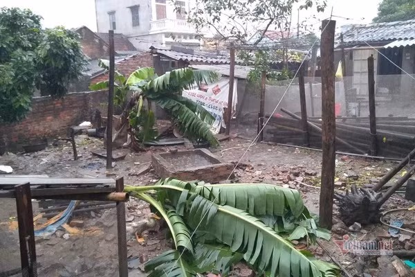 Năm nay, nhiều tỉnh ở phía Bắc hứng chịu đợt mưa lớn dịp Tết Canh Tý 2020. Tại Hà Nội và các tỉnh như Thái Bình, Phú Thọ, Nam Định, Hải Phòng... từ đêm qua có mưa lớn khiến việc vui chơi của người dân bị ảnh hưởng. Ảnh: Cây cối bật gốc sau trận mưa lớn sáng nay tại xã Quang Lịch, huyện Kiến Xương, Thái Bình.