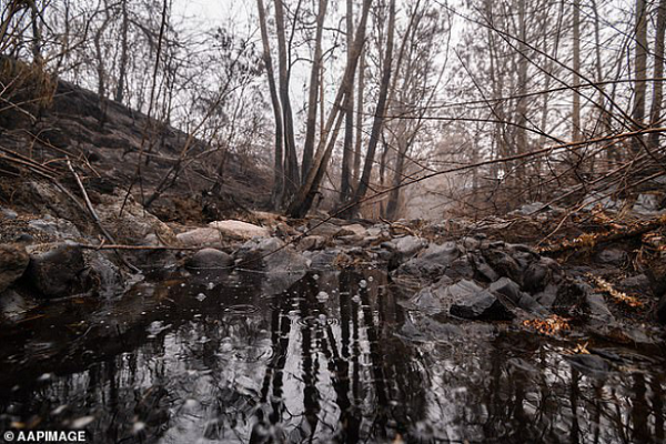 Mua lon nhat 3 thang sap trut xuong, Uc vua mung vua lo