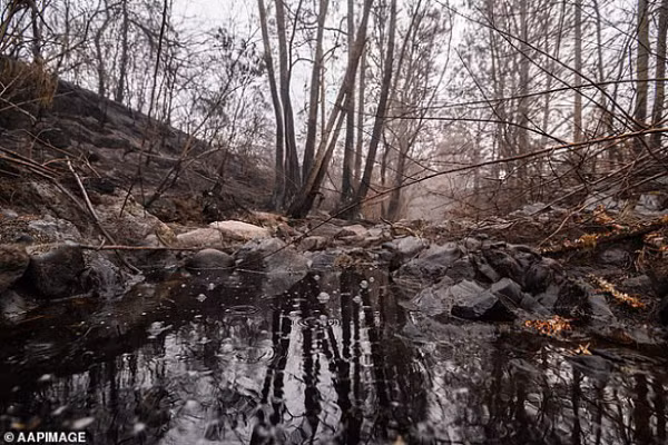 Mua lon nhat 3 thang sap trut xuong, Uc vua mung vua lo