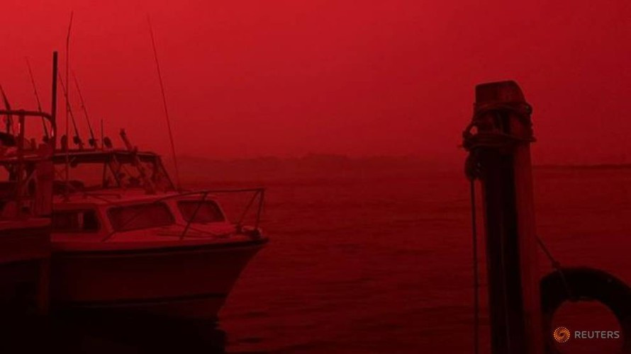 Hai hung tham hoa chay rung nhu “tan the” tai Australia-Hinh-2