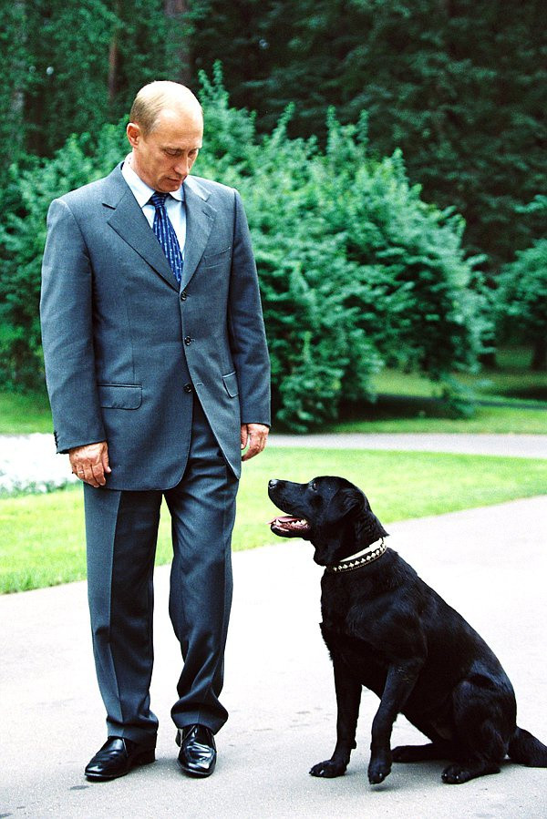 Kony là chú chó đầu tiên Tổng thống Putin được tặng. Sau đó, nó thường xuất hiện bên ngoài các cuộc họp của tổng thống Nga với phái đoàn nước ngoài.