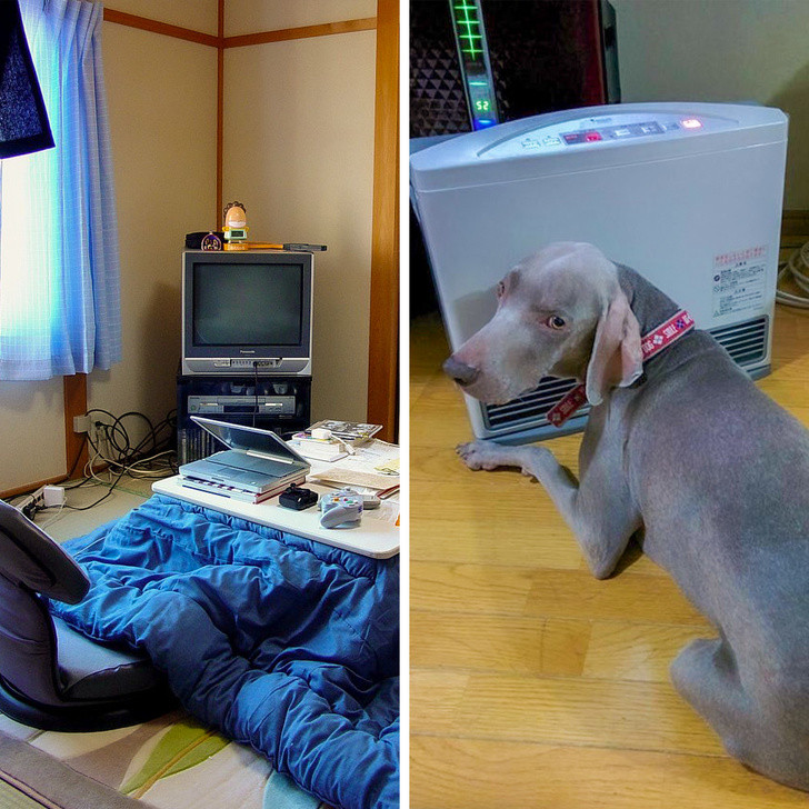 Nhật Bản không có hệ thống sưởi ấm căn nhà nên người dân ở đây thường sử dụng máy sưởi và chăn ấm hoặc bàn sưởi Kotatsu nổi tiếng.