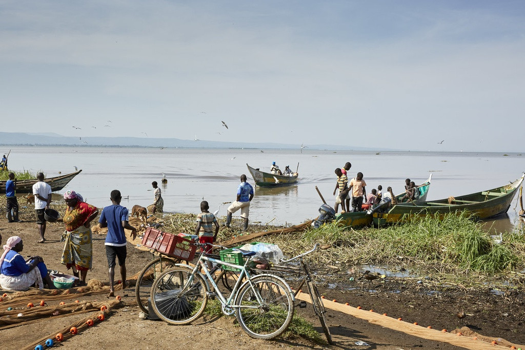 Và từ năm 2011, Justine là người đứng đầu hợp tác xã phụ nữ No Sex For Fish. Cái tên này thể hiện điều mà Justine, hiện 61 tuổi, và những người phụ nữ khác trong làng đã chiến đấu trong nhiều năm qua để thay đổi nó. Trong ảnh, những người buôn cá đến bãi biển Nduru bằng xe đạp và xe máy để mua cá bán cho các nhà hàng và chợ trong khu vực. Họ có tiền để mua những con cá lớn hơn mà phụ nữ địa phương không thể mua được. Ảnh: NPR.