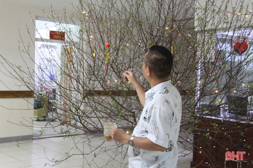 Mặc dù phải trực chăm mẹ 95 tuổi trong đêm giao thừa, nhưng ông Lê Trọng Sơn (Lộc Hà) cũng có những phút giây thư giãn bên cây đào trước sảnh Khoa Tim mạch. Mẹ ông đã được các bác sĩ chăm sóc chu đáo.