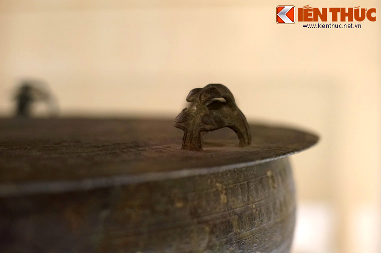 Con cóc còn gắn với văn hóa phồn thực của người Việt cổ. Cụ thể, trên nhiều chiếc trống đồng được khai quật có hình hai con ếch cõng nhau, con dưới to, con trên nhỏ, mà các nhà nghiên cứu cho rằng đây chính là cảnh giao phối của loài lưỡng cư này.