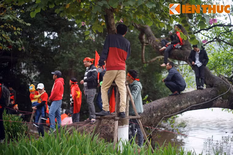 Tận dụng bất cứ chỗ nào có thể leo.