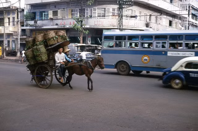 Ngày nay, hình ảnh những chiếc xe thổ mộ trên đường phố Sài Gòn chỉ còn là dĩ vãng. Ảnh tư liệu.