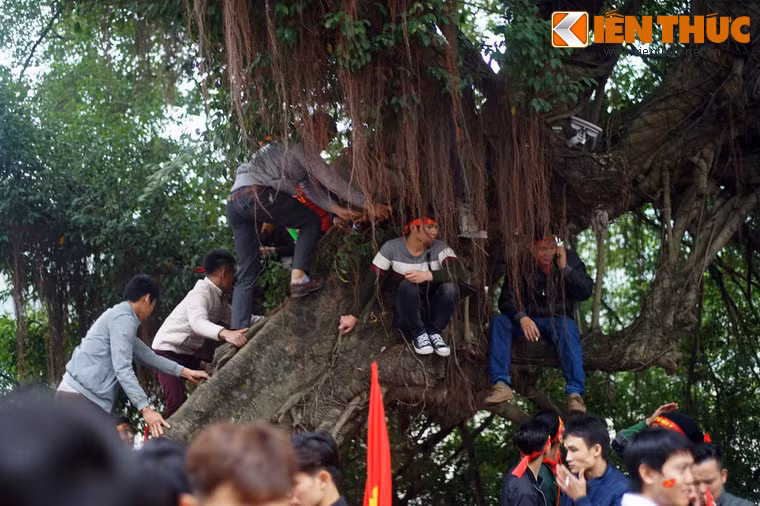 Nhiều người trèo lên các cây xanh bên bờ hồ để có thể xem trận U23 Viêt Nam - U23 Uzbekistan dễ dàng hơn.