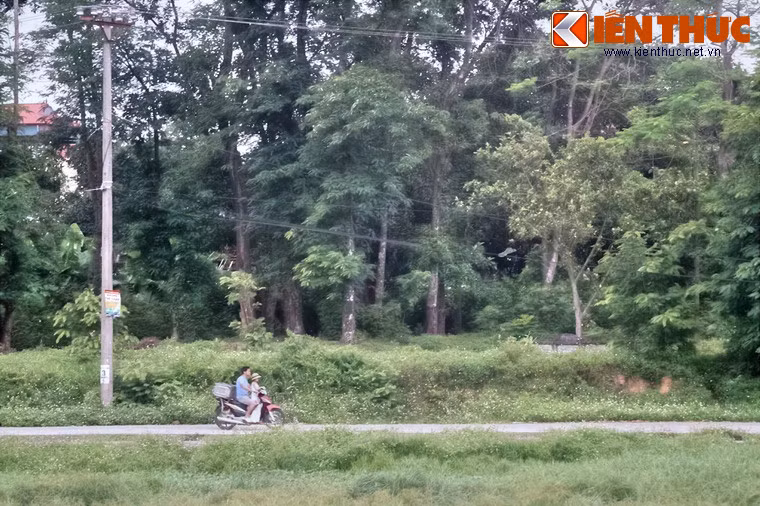 Vì thế hai bức tường thành này có đường nét uốn lượn theo địa hình chứ không thẳng như bức tường thành trung tâm.