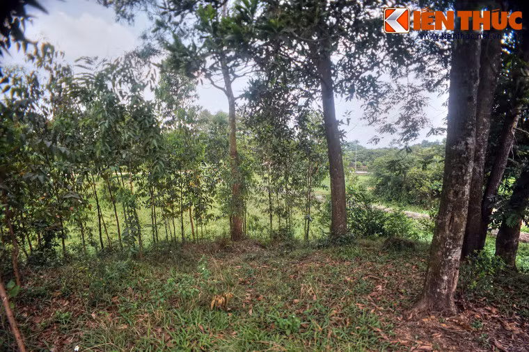 Các lũy này được dùng làm công sự, có nhiệm vụ của những pháo đài tiền vệ, phối hợp với thành, hào trong việc bảo vệ và chiến đấu. Đây cũng là một điểm đặc biệt trong cấu trúc của thành Cổ Loa. Ảnh: Quang cảnh nhìn từ một gò đất trong thành.