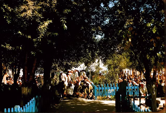 Các tín đồ Hồi giáo trong một buổi lễ ở thánh đường địa phương. Ảnh: Jacques Dupâquier.