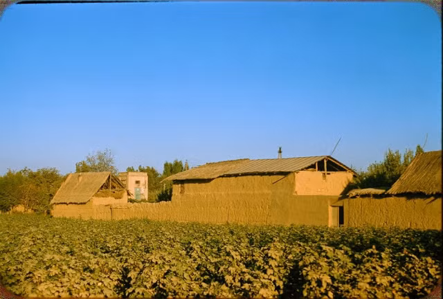 Bên ngoài một khu trang trại ở ngoại ô Tashkents. Ảnh: Jacques Dupâquier.