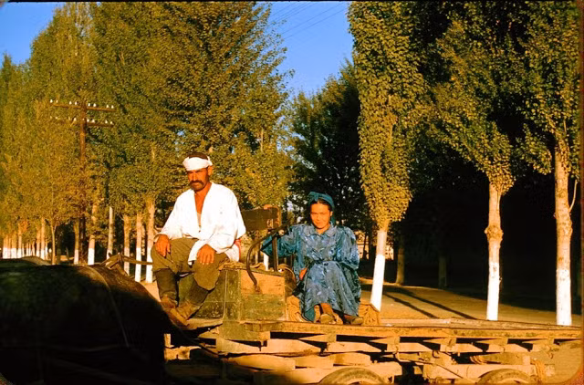 Cặp vợ chồng nông dân ngồi trên chiếc xe kéo của hợp tác xã. Ảnh: Jacques Dupâquier.