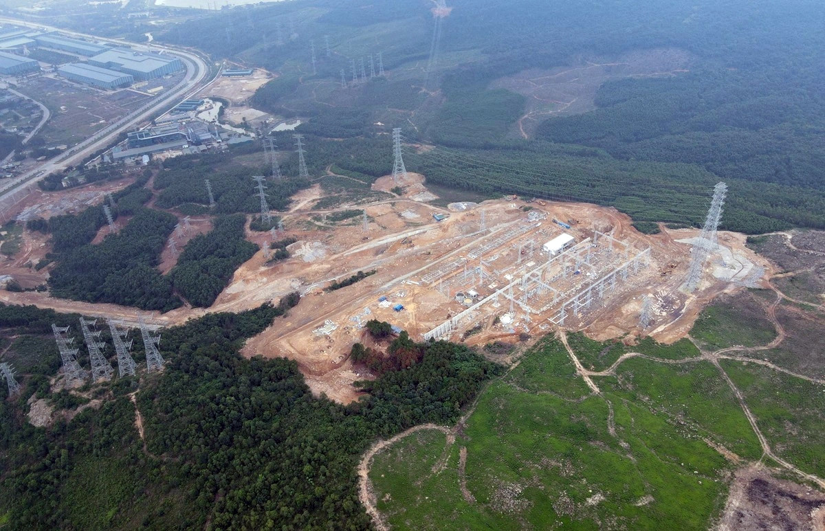 Ai đứng sau Công ty AIT phá rừng tự nhiên ở Thanh Hóa? Ai dung sau Cong ty AIT pha rung tu nhien o Thanh Hoa?