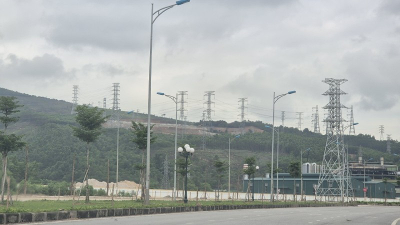 Ai đứng sau Công ty AIT phá rừng tự nhiên ở Thanh Hóa? - Hình 2 Ai dung sau Cong ty AIT pha rung tu nhien o Thanh Hoa?-Hinh-2