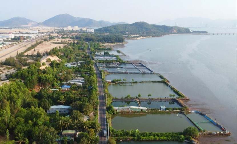 Hồ sơ Phú Sơn Thuận có dự án gần 800 tỷ sắp bị “trảm” Ho so Phu Son Thuan co du an gan 800 ty sap bi “tram”