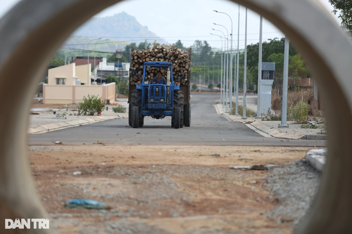 Thỉnh thoảng có các xe chở hàng, chở gỗ chạy qua khu vực dù dự án chưa hoàn thiện. (Ảnh: Dân Trí).