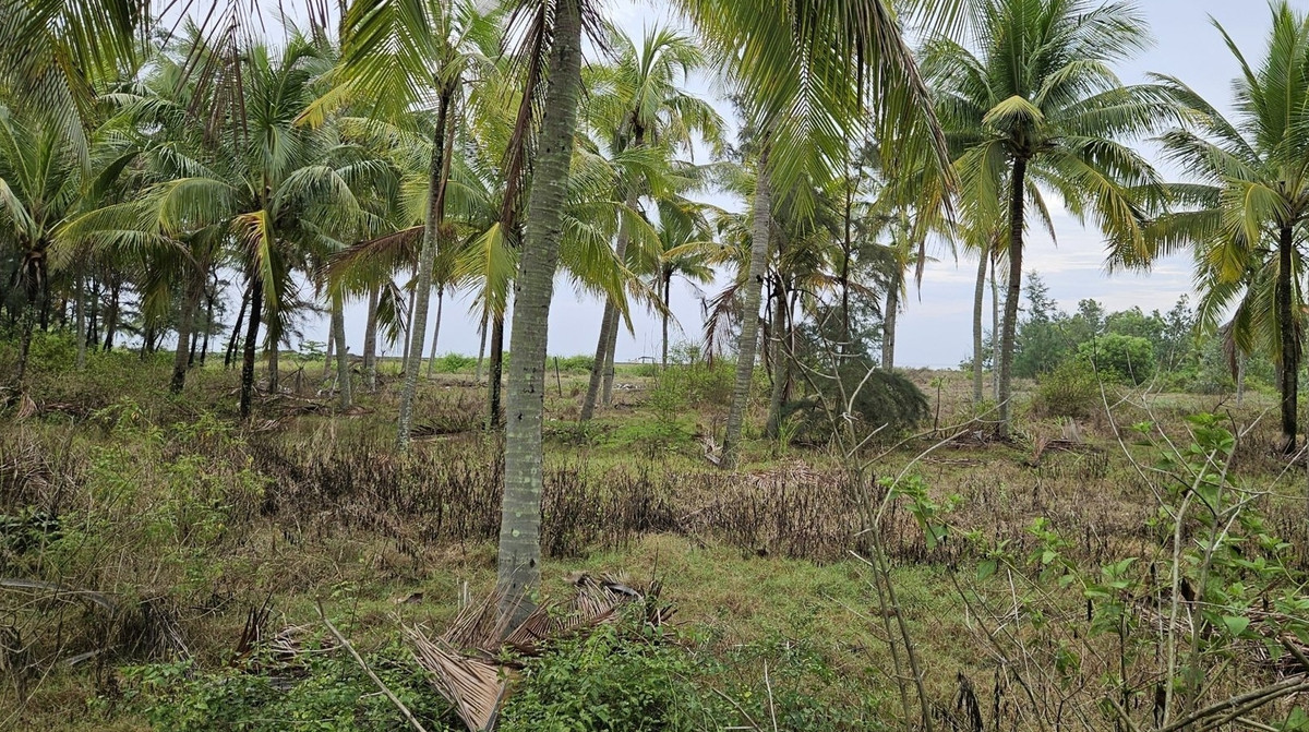 Năm 2018, UBND TP. Đà Nẵng đã giao Sở Xây dựng cùng các sở, ngành làm việc với chủ đầu tư về phương án thu hồi dự án để làm công viên, quảng trường biển. (Ảnh: VietnamFinace).