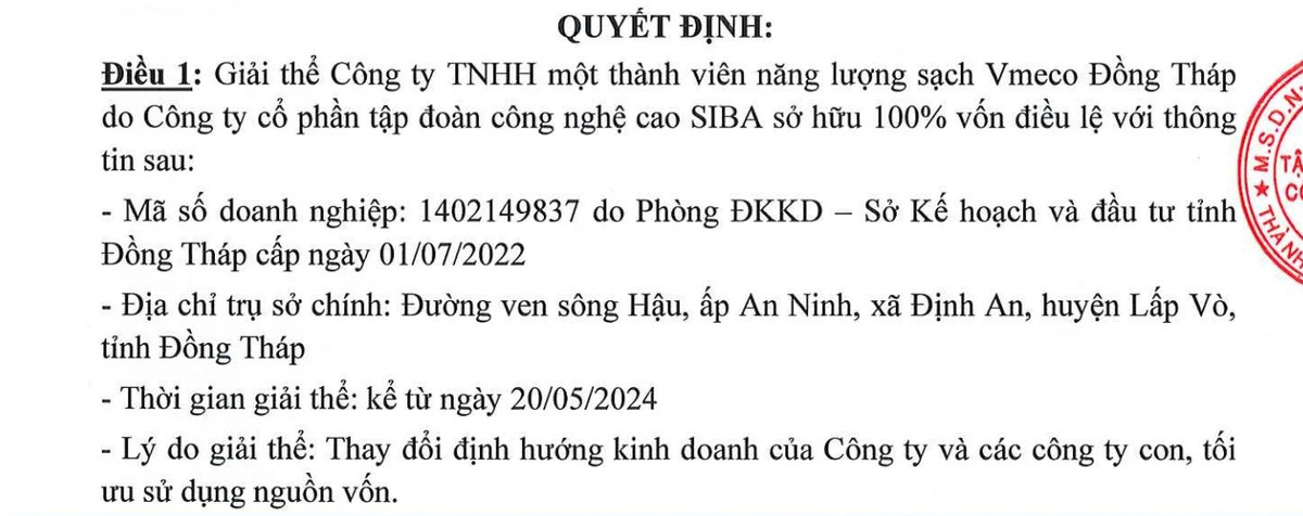 Giai the cong ty con, Siba Group lam an sao?