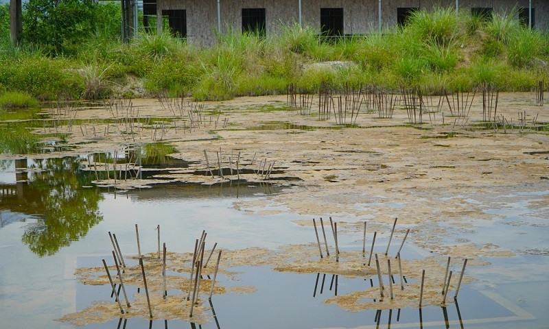 Việc thu hồi dự án APG - Plaza Cổ Định được đánh giá là quyết định đúng đắn của UBND tỉnh Thanh Hóa. Việc này nhằm mục đích đảm bảo trật tự quản lý đất đai, bảo vệ môi trường và thúc đẩy phát triển kinh tế địa phương. ... (Ảnh: Báo Xây dựng).