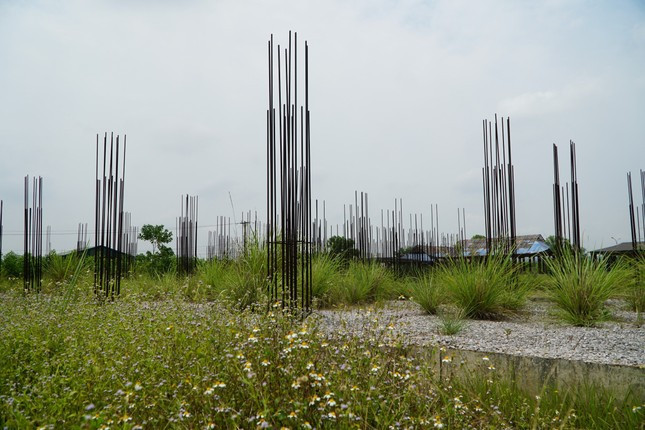 Một số hạng mục móng, nhà ăn ngoài trời và một tòa nhà 3 tầng được xây dựng dang dở, gỉ sét, phủ đầy bụi bặm. (Ảnh: Tiền Phong).