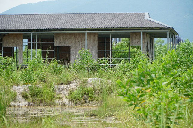 Theo tiến độ, dự án khởi công quý I/2019, hoàn thành đi vào hoạt động quý I/2022. Dù vậy, sau nhiều năm, dự án mới chỉ là một số hạng mục, còn lại thi công dang dở, bỏ hoang. (Ảnh: Tiền Phong).