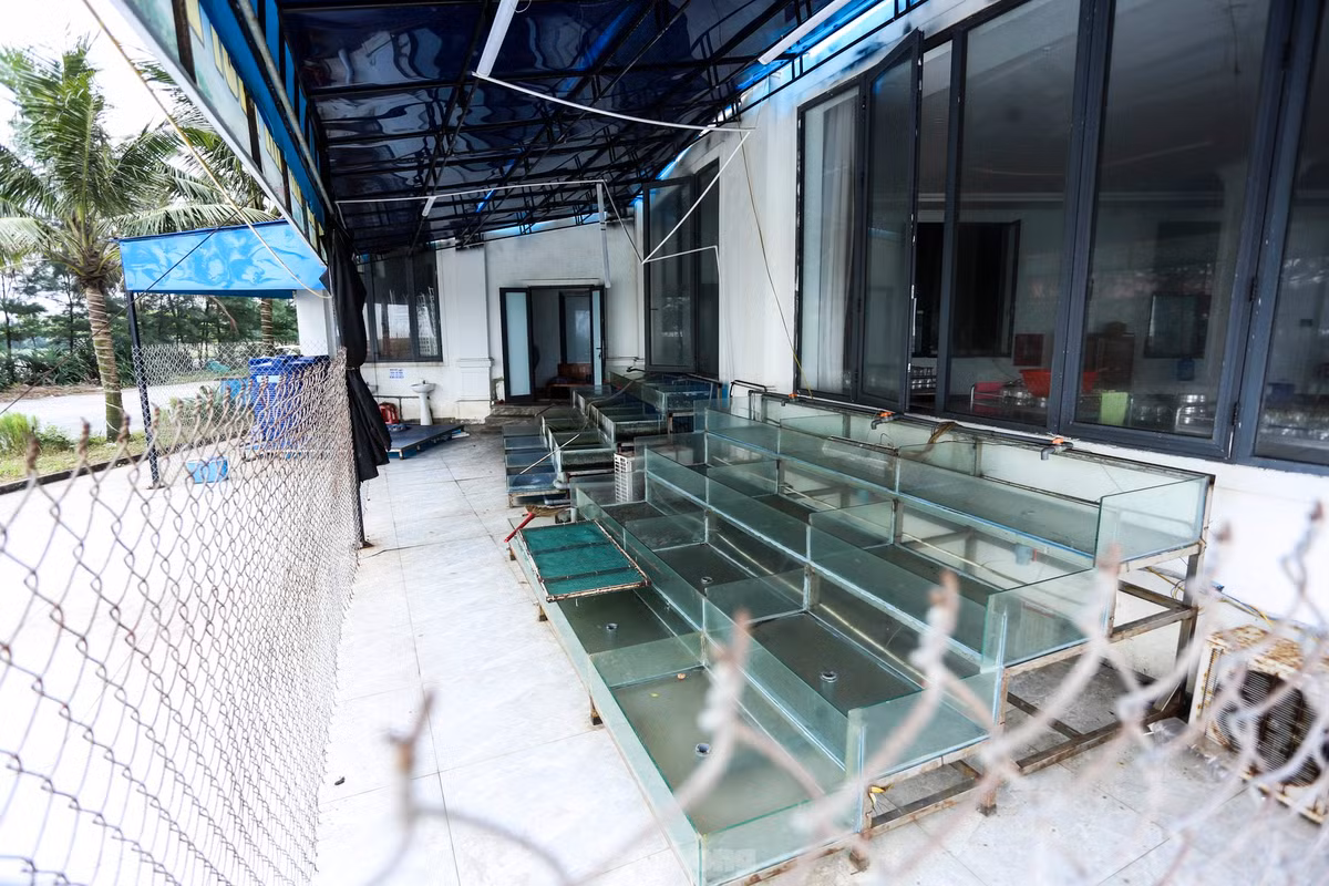 Nhà hàng đóng cửa, các đồ đạc, vật dụng kinh doanh cũng bỏ không. (Ảnh: Tiền Phong).