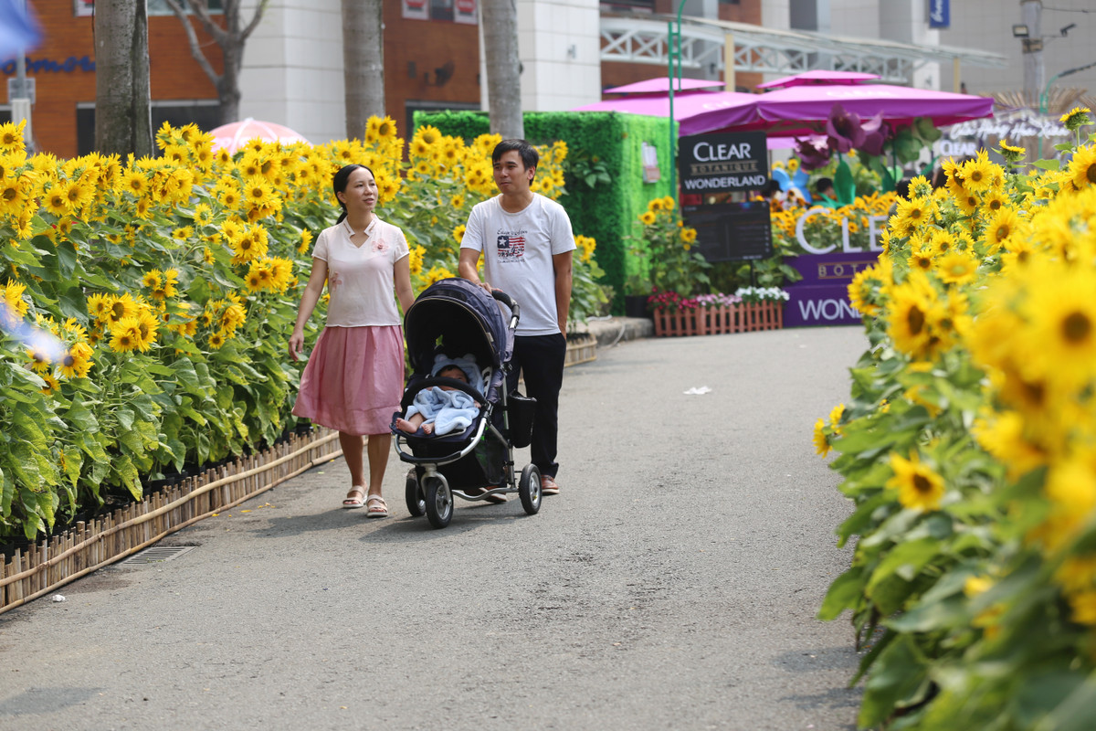 Các gia đình tới thăm quan đường hoa.