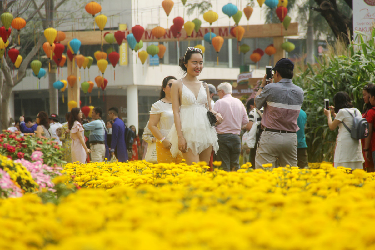 Vườn hoa được trang trí với một số loại như hoa cúc vàng, hoa hướng dương,...