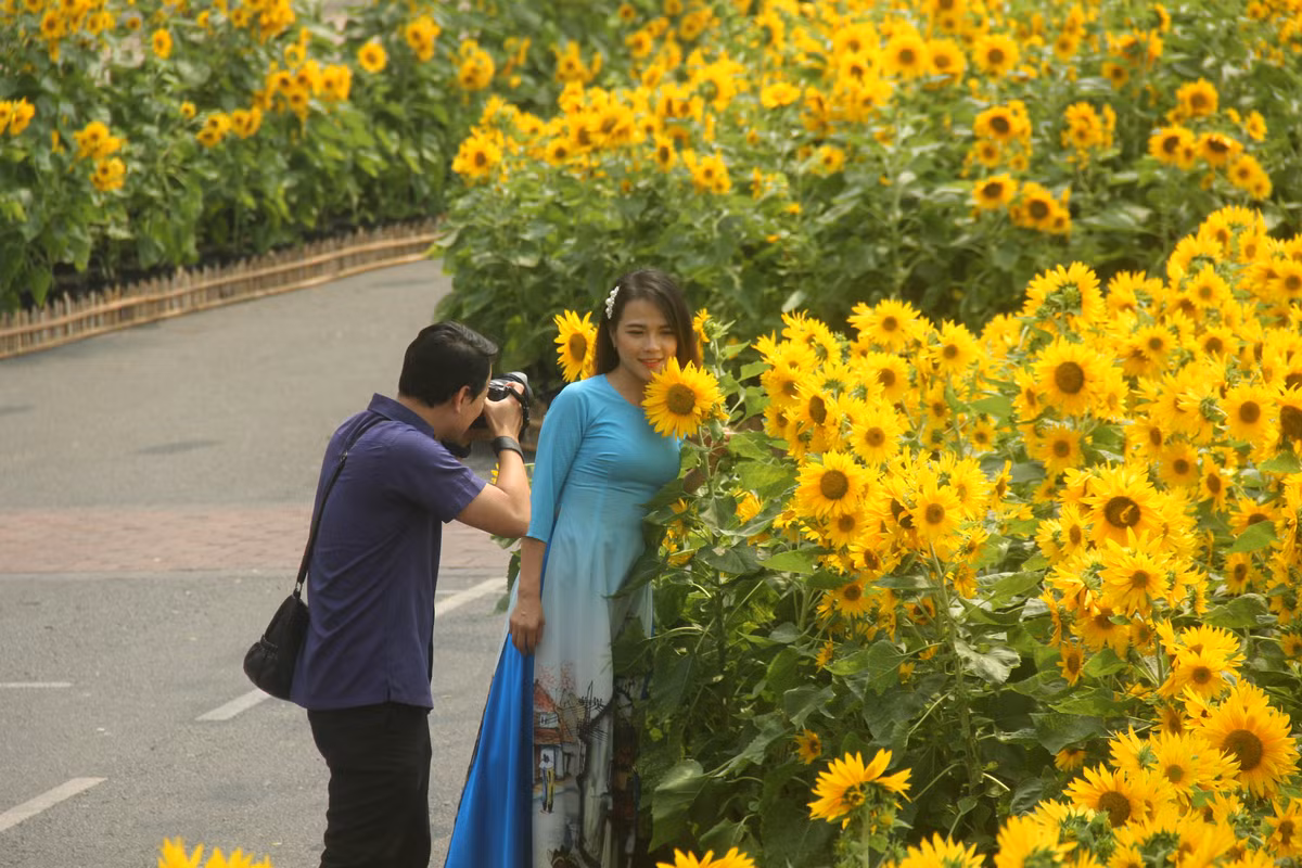 Nhiều người tới chụp hình, check-in.