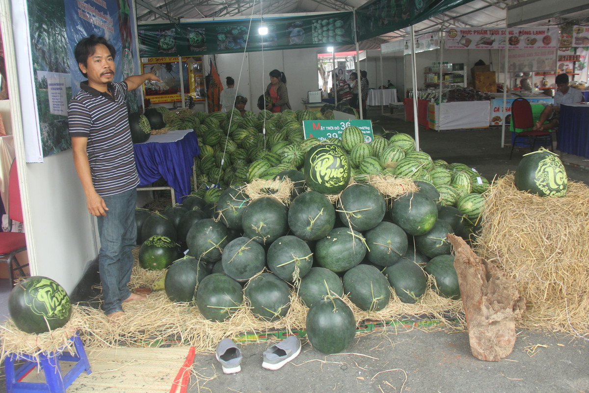  p.p1 {margin: 0.0px 0.0px 0.0px 0.0px; font: 20.0px Times} Anh Nguyễn Văn Thọ cho biết, số dư hấu này được vận chuyển từ đất mũi Cà Mau lên tập kết tại chợ hoa xuân ở TP.HCM. Hơn 500 quả dưa hấu "siêu to khổng lồ" được chính tay anh chạm khắc hình rồng phượng, chữ thư pháp để bán. 
