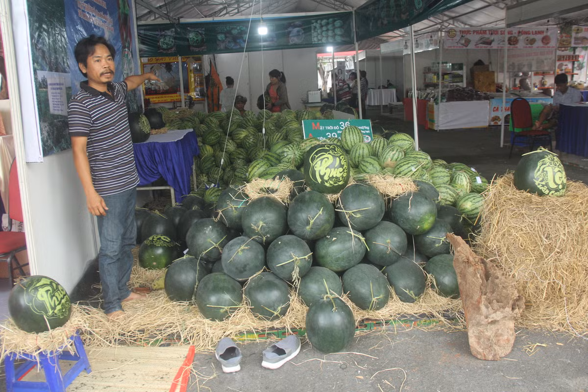  p.p1 {margin: 0.0px 0.0px 0.0px 0.0px; font: 20.0px Times} Anh Nguyễn Văn Thọ cho biết, số dư hấu này được vận chuyển từ đất mũi Cà Mau lên tập kết tại chợ hoa xuân ở TP.HCM. Hơn 500 quả dưa hấu "siêu to khổng lồ" được chính tay anh chạm khắc hình rồng phượng, chữ thư pháp để bán. 