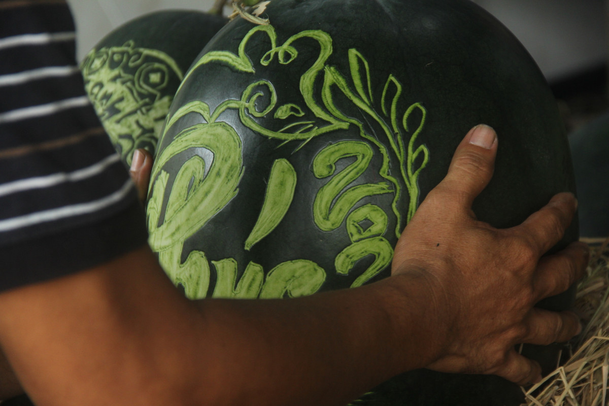  Theo anh Thọ, nếu những trái dưa có hoa văn phức tạp thì mất khoảng 1 tiếng đồng hồ mới hoàn thành, còn những quả đơn giản thì tầm 30 phút. 