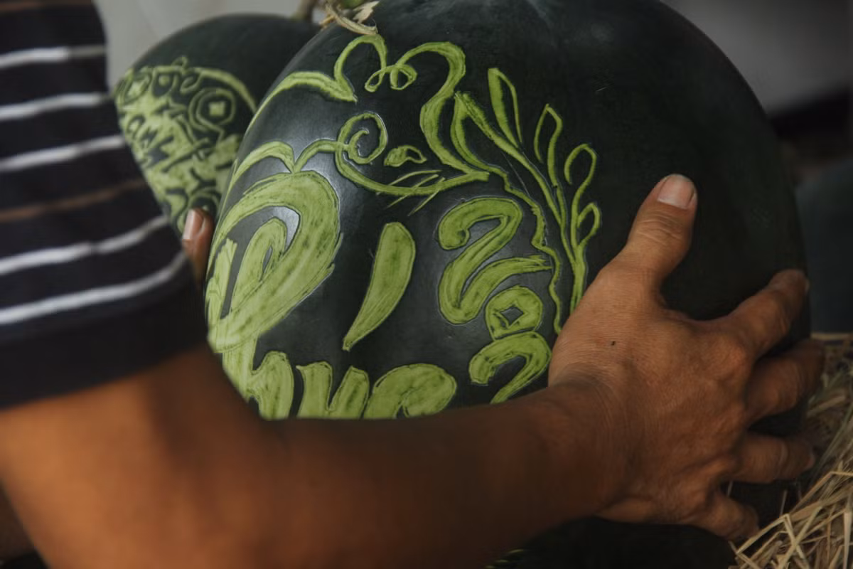  Theo anh Thọ, nếu những trái dưa có hoa văn phức tạp thì mất khoảng 1 tiếng đồng hồ mới hoàn thành, còn những quả đơn giản thì tầm 30 phút. 