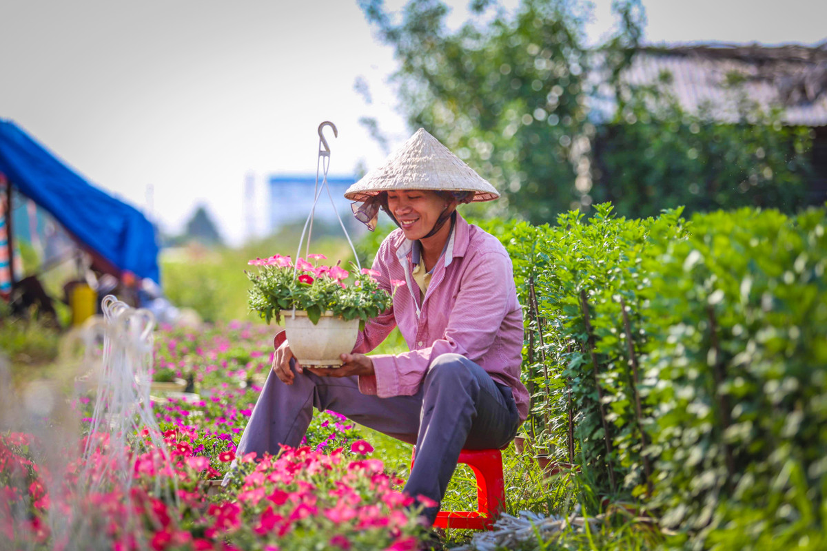 Lang hoa Sai Gon tat bat nhung ngay giap Tet Canh Ty 2020-Hinh-16