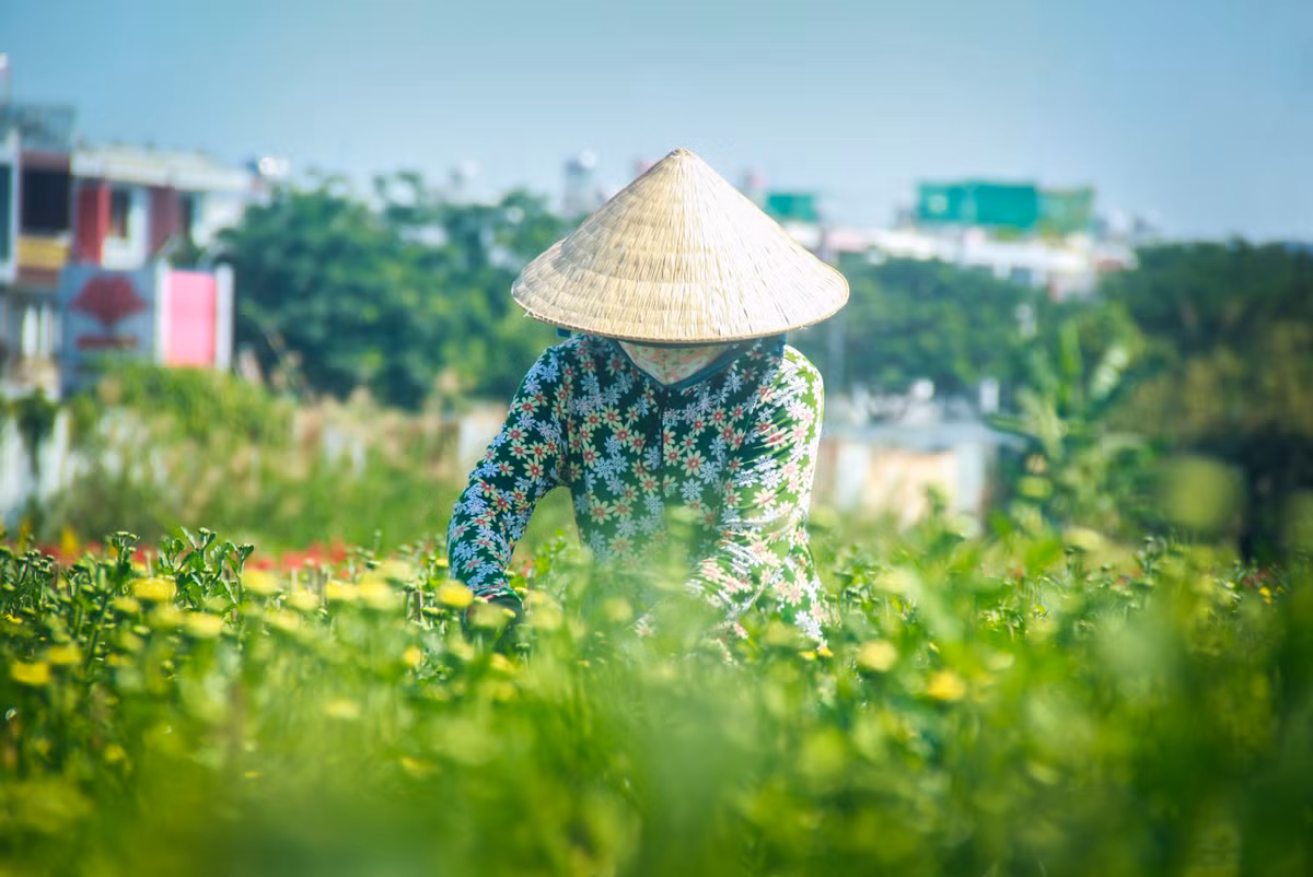 Lang hoa Sai Gon tat bat nhung ngay giap Tet Canh Ty 2020-Hinh-7